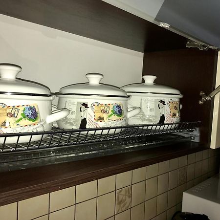 Large Apartment In The City Center ムカチェヴォ エクステリア 写真